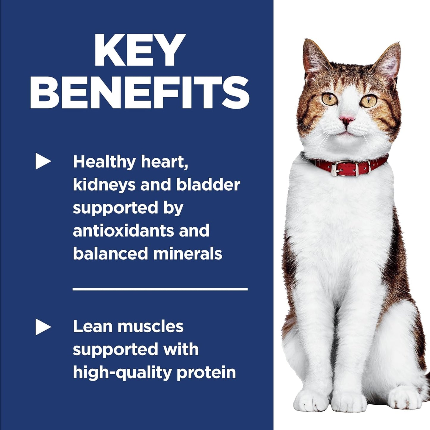 Hill's Science Diet Adult 7+, Senior Adult 7+ Premium Nutrition, Dry Cat Food, Chicken Recipe, 16 lb Bag