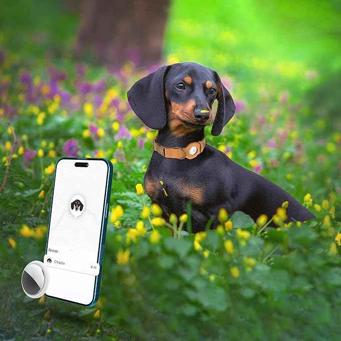 AirTag Dog Collar - Genuine Leather Dog Collar with Apple AirTag Holder and Metal Buckle - Smart GPS Tracking Pet Collars (Light Brown, M, 14"-18" Neck Fit)