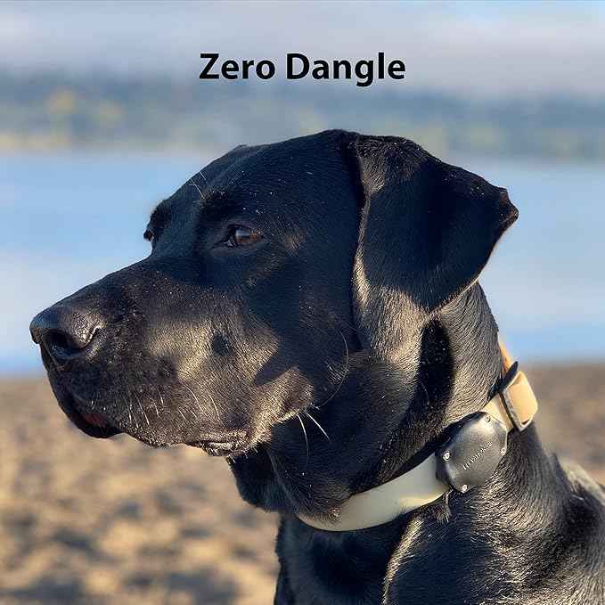Elevation Lab AirTag Dog Collar Holder - TagVault™ - Secure Thru-Mount, IP69 Waterproof, Doesn't Dangle, Fits All Width Collars (4 Pack)