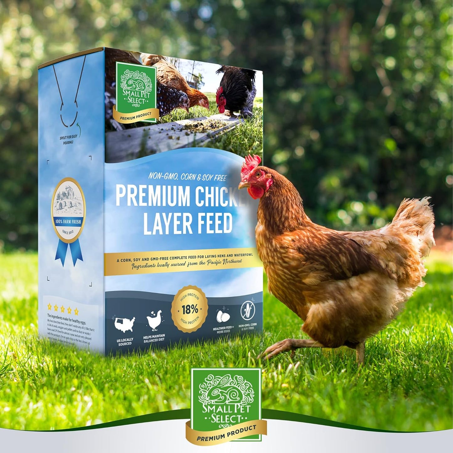 Small Pet Select Chicken Layer Feed Pellets, Food for Chickens and Laying Hens, Poultry and Waterfowl, High Protein and Omega 3, Corn and Soy Free, Non-GMO, 20 lb (2-Pack), 40 lbs Total