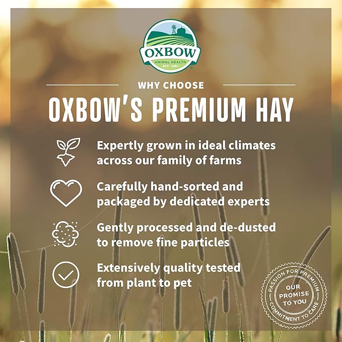Oxbow Animal Health Western Timothy Hay - All Natural Hay for Rabbits, Guinea Pigs, Chinchillas, Hamsters & Gerbils - 15 oz. (Pack of 2)