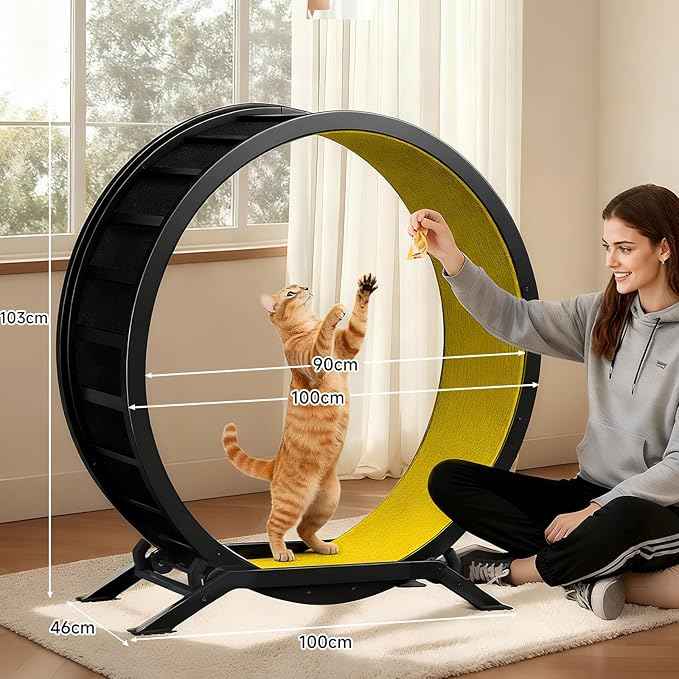 GTPLAYER Cat Wheels, Large Cat Exercise Wheel for Indoor Cats, 40"Diameter cat treadmill Detachable Carpet & Teaser, stickers, Ultra-quiet scroll wheel With latch, Suitable for Most Cats Metal, Yellow
