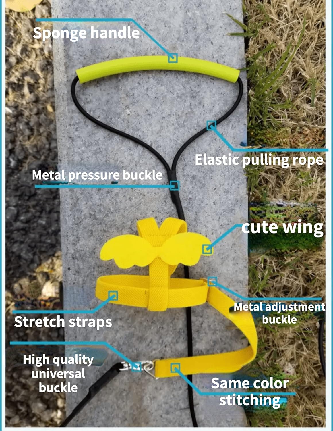 Pet Parrot Bird Harness Leash Adjustable Bird Flying Harness Traction Rope with Cute Wing for Parrots Pigeons Budgerigar Lovebird Cockatiel Mynah Outdoor Training Toy (L, Blue)