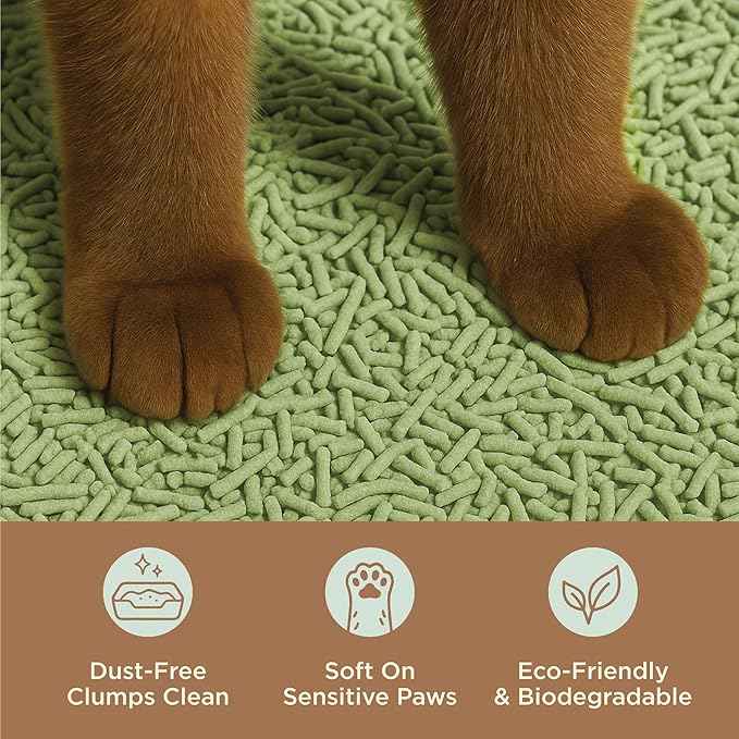 Natural Tofu Cat Litter, Fast Clumping and Scoops Easy, Dust-Free, Low Tracking, Quick Drying & Odor Control, Eco-Friendly Plant-Based Cat Litter 5.5lb/88oz – Calm Matcha (1 Pack)