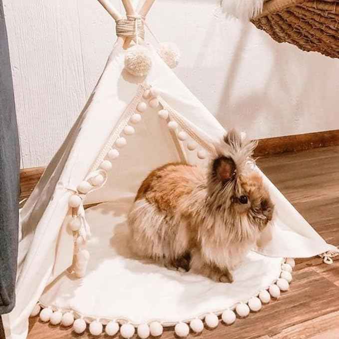 MINICAMP Pet Teepee Tent with Padded Mat – Cozy Cotton Hideaway Tent for Rabbits, Puppies, Cats & Guinea Pigs – Pet Accessories for Indoor - Made in EU XS