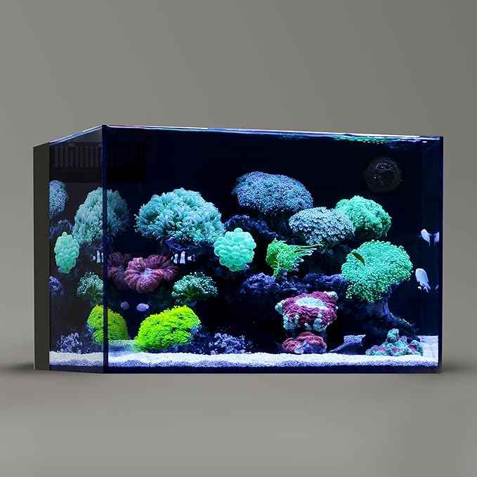 Landen 60P 26.23 Gallon Ultra Clear All Glass Rimless Low Iron Aquarium Tank with Rear Filtration Chamber for Salt and Fresh (Return Pump Included) 23.6Wx17.7Dx15.8H in(60x45x40cm) 8mm Thickness