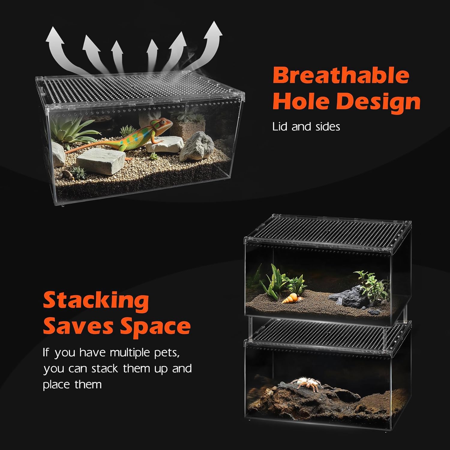 AZV Reptile Terrarium Tank,Versatile Enclosure for Leopard Crested Gecko,Lizard Cage,Spider Starter Kit,Hermit Crab Habitat,Tarantula Cribs,Perfect Aquarium for Snake,Frogs,Snails,Insects,Small Pets - FurryFun