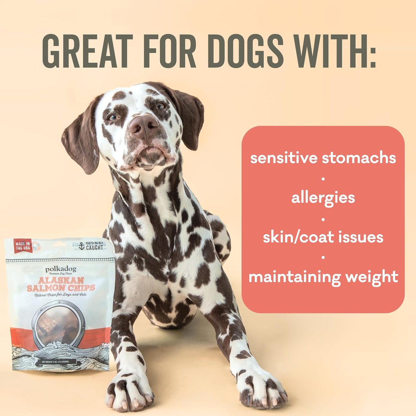 Polkadog Crunchy Alaskan Salmon Chips – Single Ingredient Dog Treats with Wild-Caught Salmon – All Natural, Grain-Free, Lean Protein & Omega-3 Rich Snacks for Dogs – Handcrafted in USA - 2.75 oz