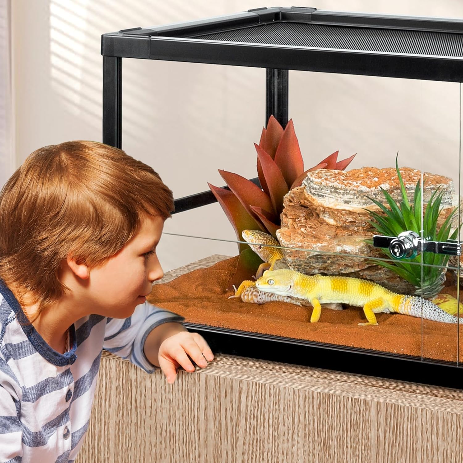 20 Gallon Reptile Tank, 30" x 12" x 12" Reptile Terrarium, Top Screen Ventilation, Sliding Door, Cable & Fogger Pass, Glass Enclosure for Bearded Dragon, Lizard, Gecko, Frog, Snake - FurryFun