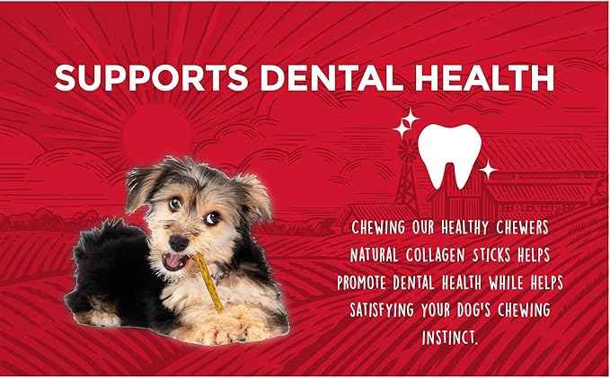 | Healthy Chewers | Natural Collagen and Beef Sticks for Dogs | 100 Count | High Protein and Limited Ingredient Dog Chews