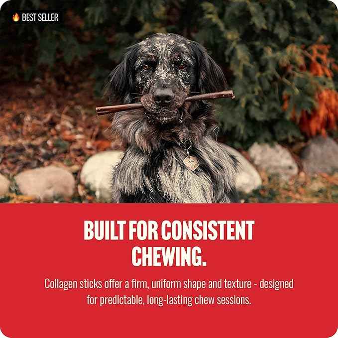 Natural Farm Odor-Free Bully Coated Gourmet Collagen Sticks (6 Inch, 10 Pack), Real Bully Beef Coated, 95% Natural Collagen, Supports Healthy Joints, Skin & Coat - Best for Small & Medium Dogs
