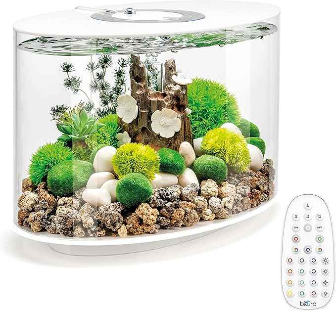 biOrb Loop 15 Acrylic 4-Gallon Aquarium with Multi-Color Remote-Controlled LED Lights Modern Compact Tank for Tabletop or Desktop Display, White-Trimmed Tank