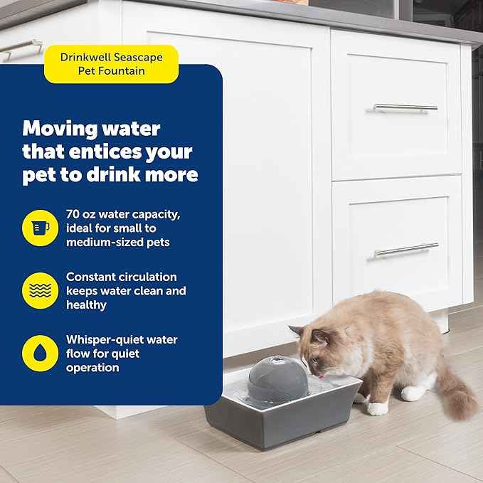 PetSafe Drinkwell Ceramic Pet Water Fountain - Quiet Automatic 70oz Dispenser for Cats & Dogs with Filters - Dishwasher Safe Square Design