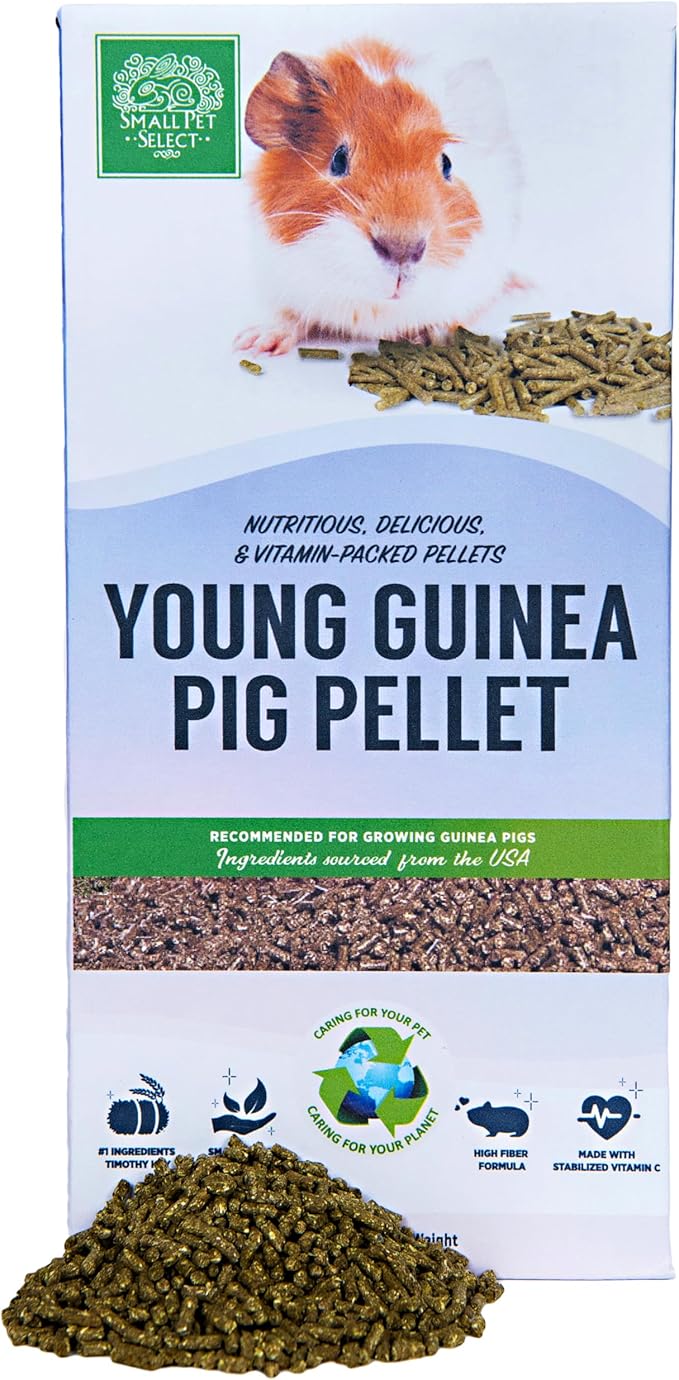 Small Pet Select Young Guinea Pig Pellet Food, Pellets, Treats for Guinea Pigs High Fiber Timothy Hay Based Formula, 5lb