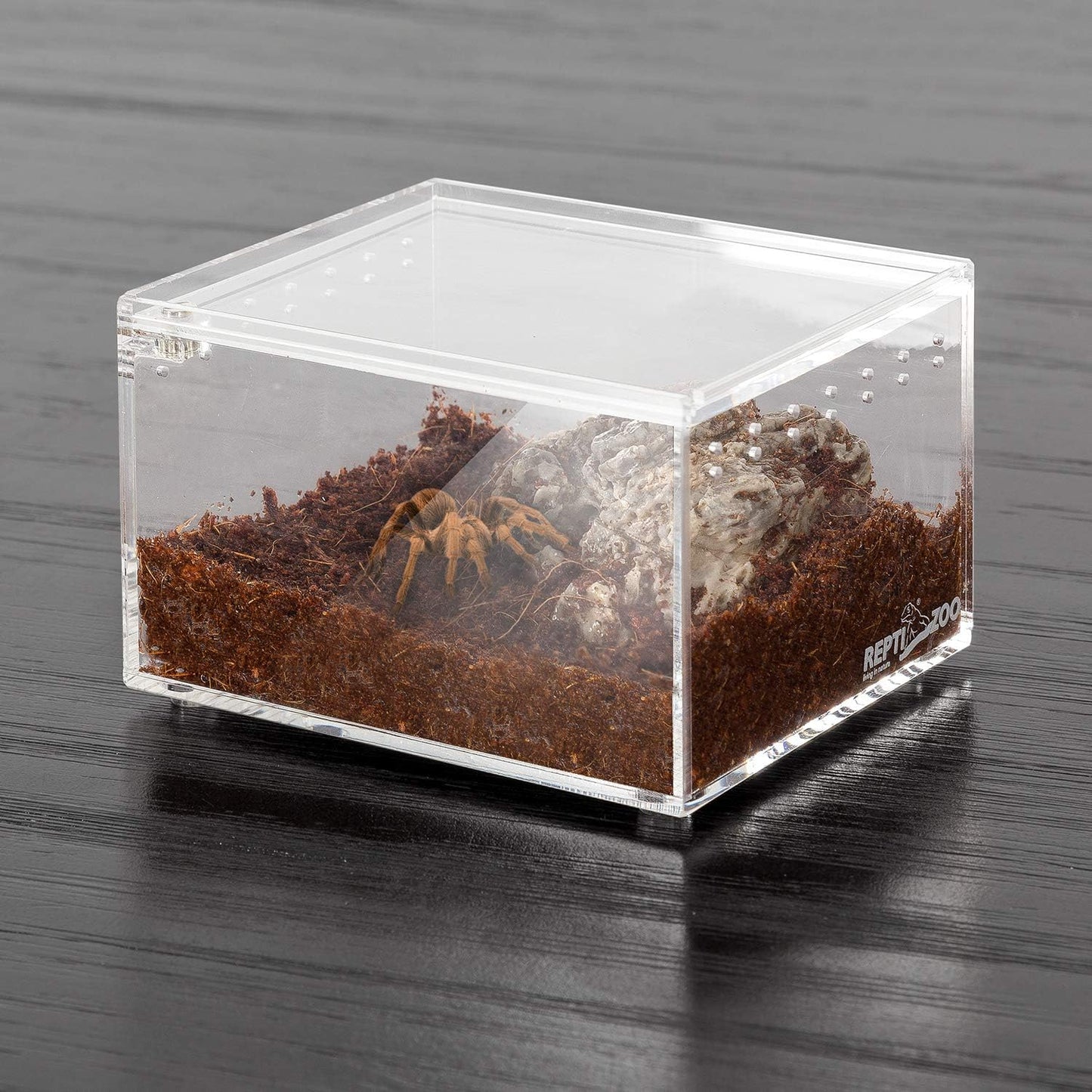 REPTI ZOO Magnetic Acrylic Case 4.1"x3.3"x2.5" Nano Enclosure Reptile Breeding Box Terrarium Cage Tank Tarantula Scorpion Sling Isopods Lizards Roach Invertebrates Insect Mantis - FurryFun