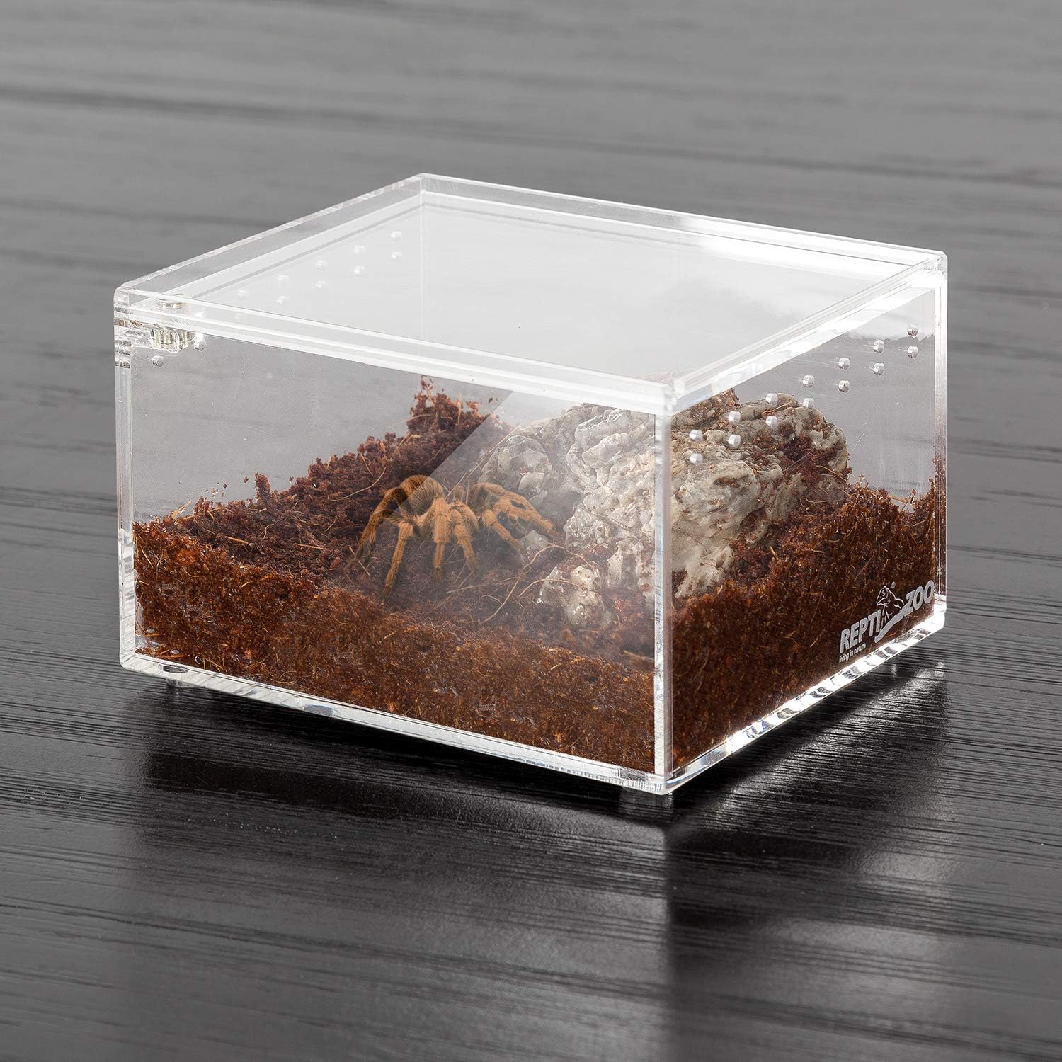 REPTI ZOO Magnetic Acrylic Case 4.1"x3.3"x2.5" Nano Enclosure Reptile Breeding Box Terrarium Cage Tank Tarantula Scorpion Sling Isopods Lizards Roach Invertebrates Insect Mantis - FurryFun