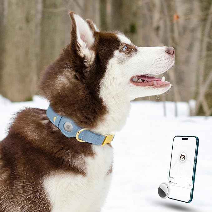 Leather Airtag Dog Collar - Soft Tracking Dog Collar with Apple AirTag Holder and Metal Buckle - Safety GPS Pet Collars for Small Medium Large Dogs Puppy Pink Red (Cornflower, S, 12"-15" Neck Fit)