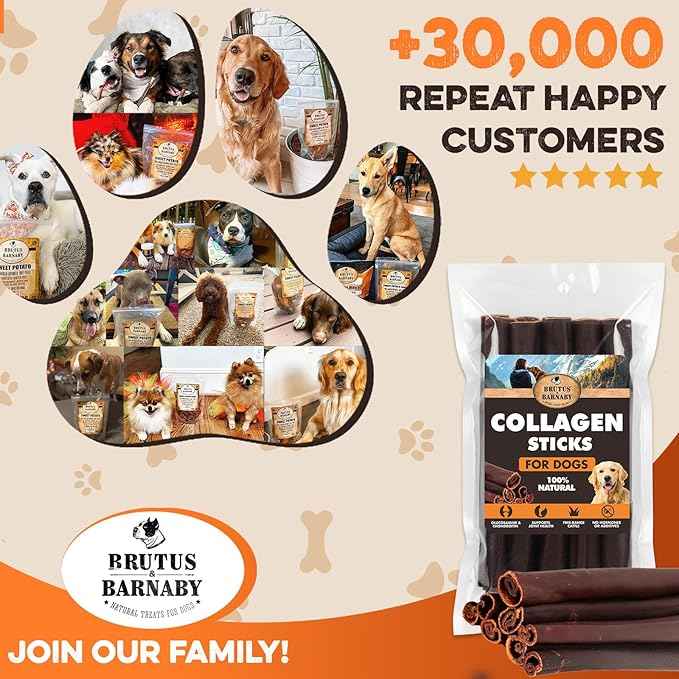BRUTUS & BARNABY Beef Collagen Sticks for Dogs-Great Long Lasting Chew for All Dog Breeds-Odor Free, With Naturally Occurring Glucosamine & Chondroitin for Joint Health-Great for Any Dog Size(5 Count)