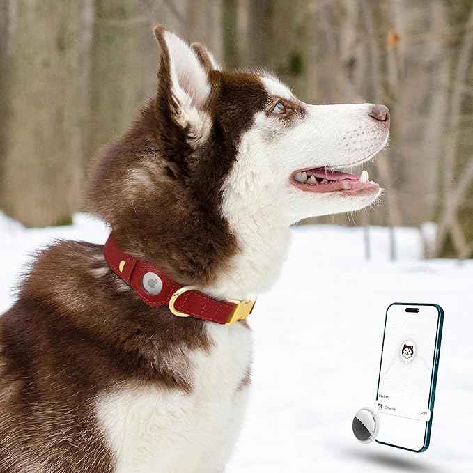 Leather Airtag Dog Collar - Soft Tracking Dog Collar with Apple AirTag Holder and Metal Buckle - Safety GPS Pet Collars for Small Medium Large Dogs Puppy Pink Red (Red, L, 17"-21" Neck Fit)