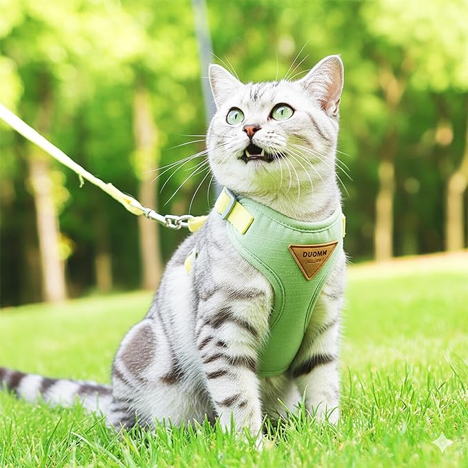 Escape-Proof Cat Harness and Leash Set - Adjustable and Comfortable - Ideal for Walking Cat Outdoors - Fits Small Dogs, Kittens, Medium, and Large Cats (Green, L)