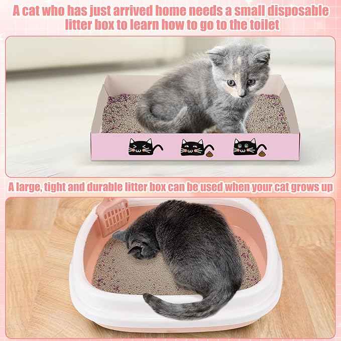 40 Pcs Kitten Starter Kit for Indoor Cats Include Litter Box, Carrier, Cat Bed, Climbing Post, Scratch Pad, Hammock, Feed Bowls, Mat, Collars, Nail File and More for Kitten Supplies Welcome Gift(Pink)
