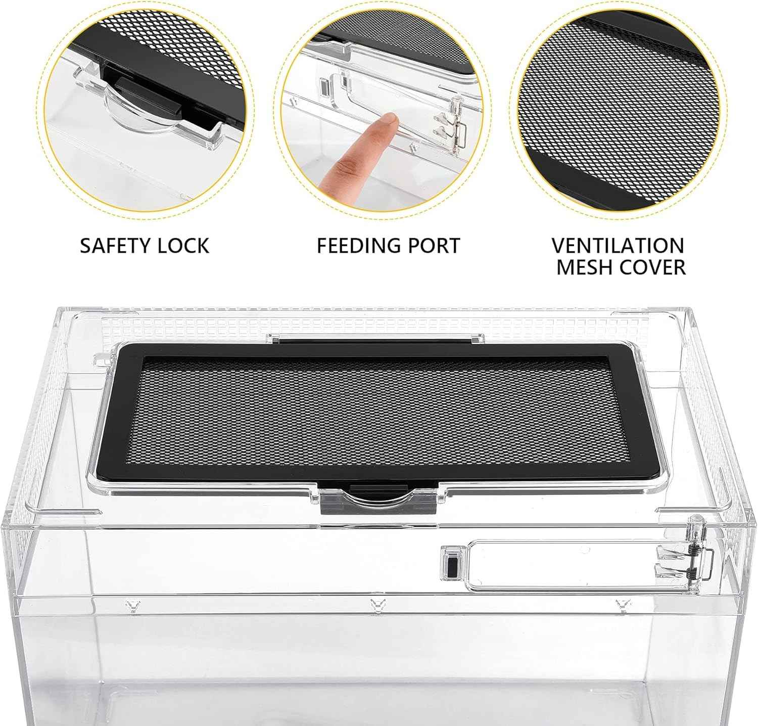 Reptile PC Terrarium Amphibian Tank Spider Enclosure Snake Cage 7x11.8x5.9inch Suitable for breeding Leopard Gecko,Frog,Hermit Crab,Lizards,Isopod,Tarantula,Turtles,Chameleons,Jumping Spiders