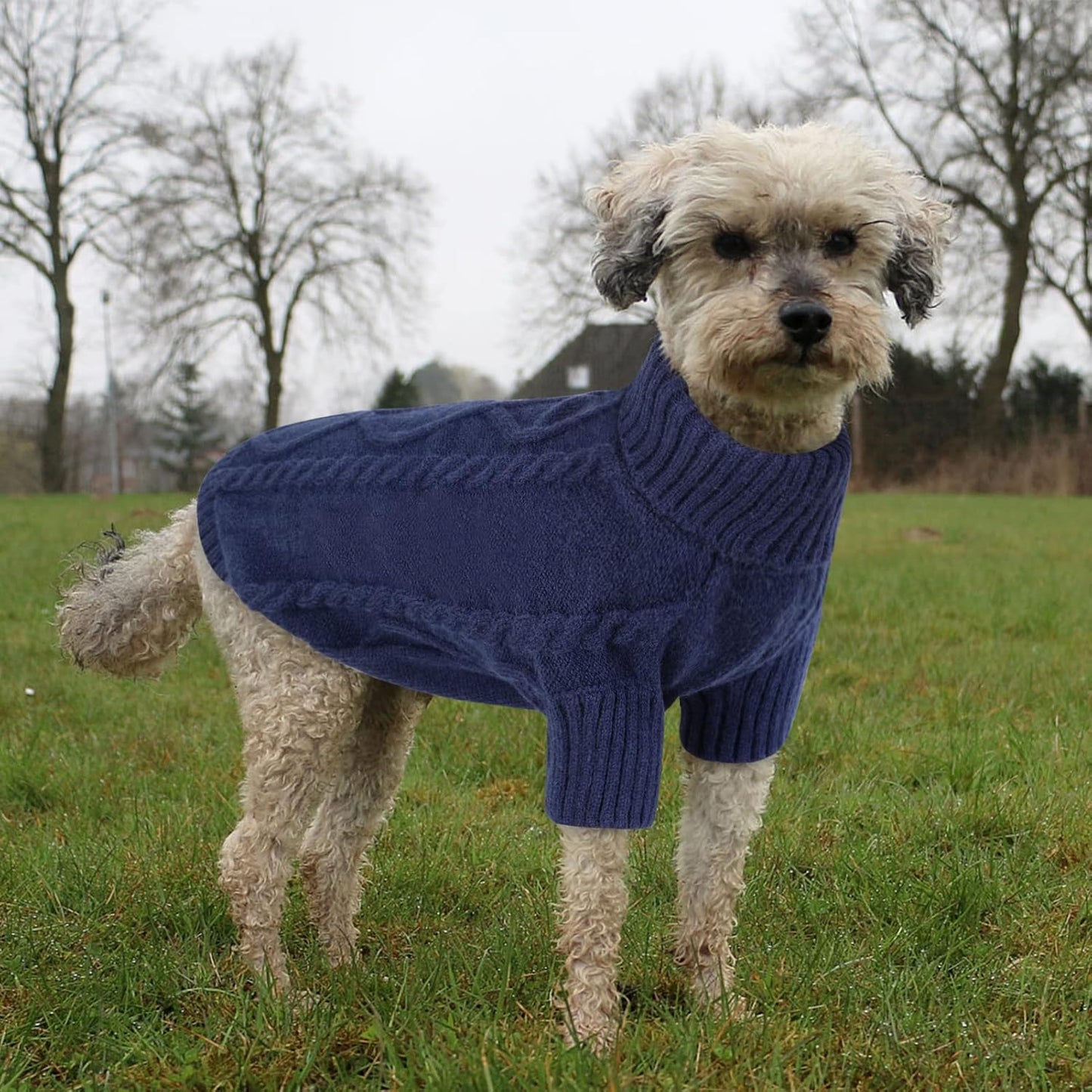 Queenmore Small Dog Pullover Sweater, Cold Weather Cable Knitwear, Classic Turtleneck Thick Warm Clothes for Chihuahua, Bulldog, Dachshund, Pug (Dark Navy, Large)
