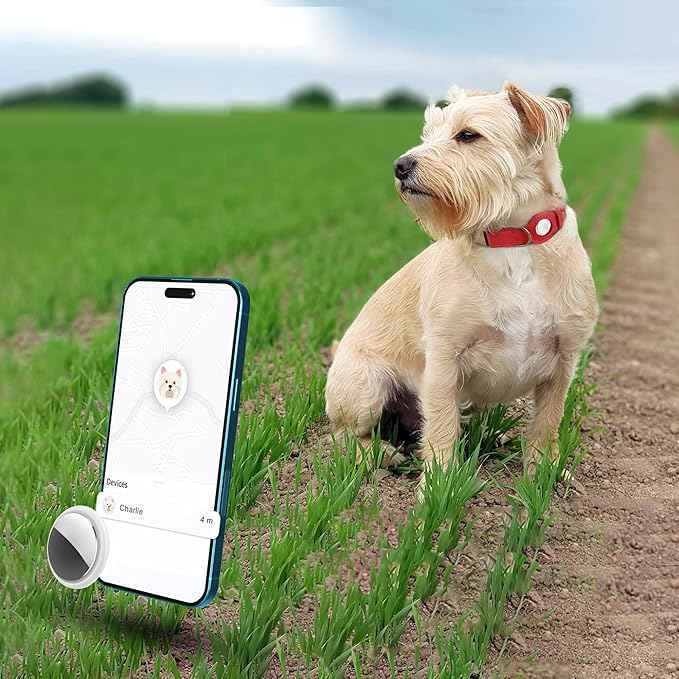 AirTag Dog Collar - Genuine Leather Dog Collar with Apple AirTag Holder and Metal Buckle - Smart GPS Tracking Pet Collars (Red, S, 12"-15" Neck Fit)