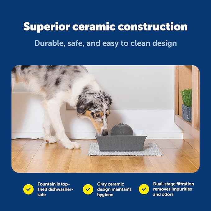 PetSafe Drinkwell Ceramic Pet Water Fountain - Quiet Automatic 70oz Dispenser for Cats & Dogs with Filters - Dishwasher Safe Square Design