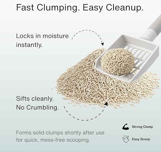 RAWRY Tofu Cat Litter | Clumping, Dust-Free, Unscented, Natural Compostable & Flushable Kitty Litter for Odor Control (1 Month, 7.7 lbs)