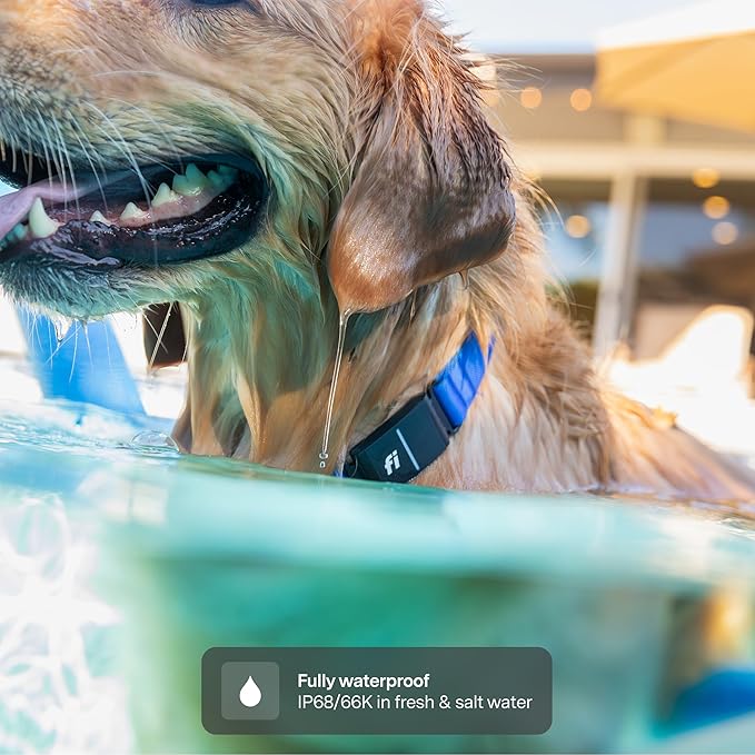 New Fi Series 3+ Smart Dog Tracker Collar [6 Month Membership Included] GPS Tracker for Dogs with Health & Behavior Monitoring, Escape Alerts, Waterproof, LED, Apple Watch Compatible (Yellow, X-Small)