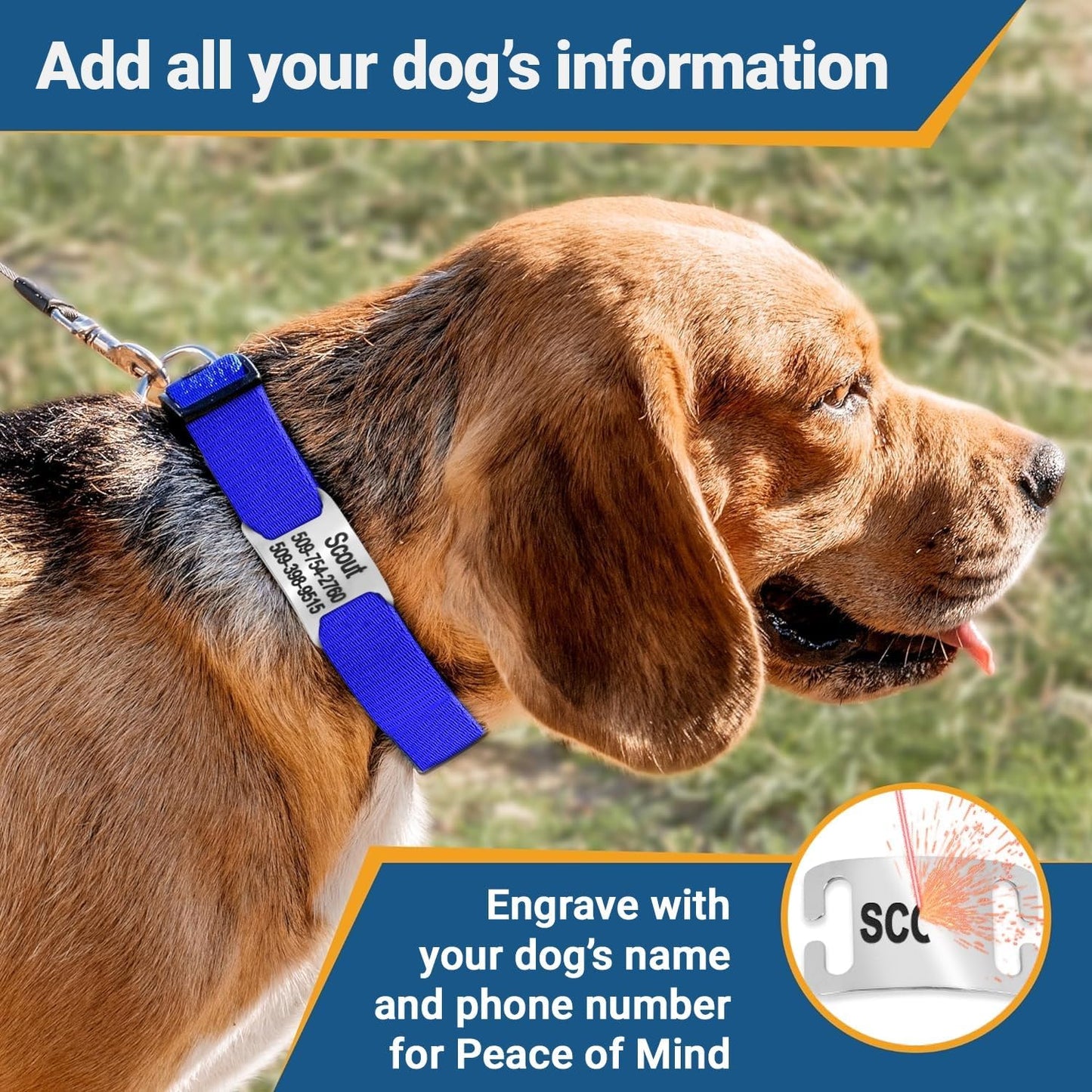 GoTags Personalized Dog Collar with Nameplate, Adjustable Dog Collar with Custom Engraved Slide On Pet ID Tag in Stainless Steel, Silent, No Noise Dog Tag (Beige, Small)