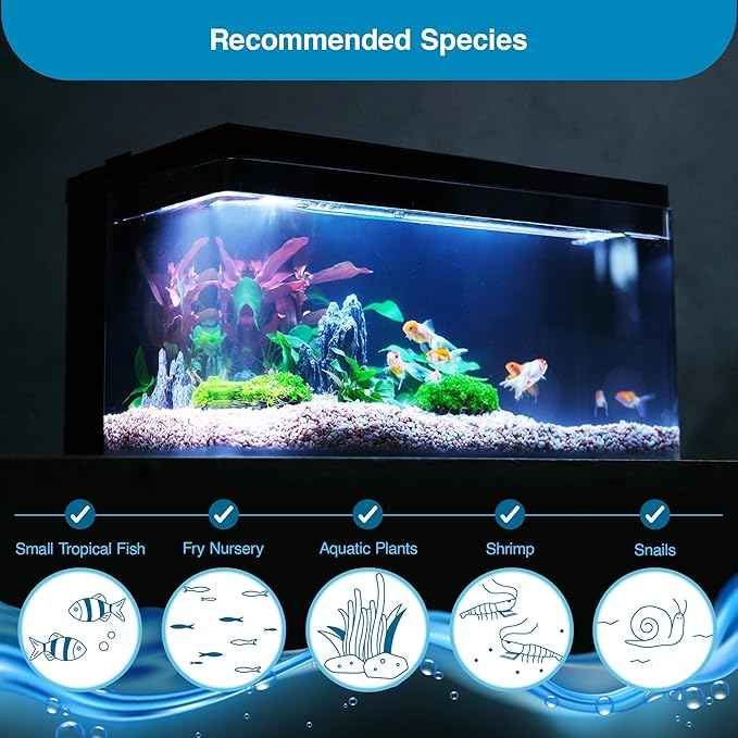 Harmony Aquarium Tank Deluxe by Clairnara – All-in-One 8 Gallon Freshwater Fish Tank with LED Light, Quiet Pump, Patented Filtration, and Special Wood Grain Toplid – iF Design Award Winner