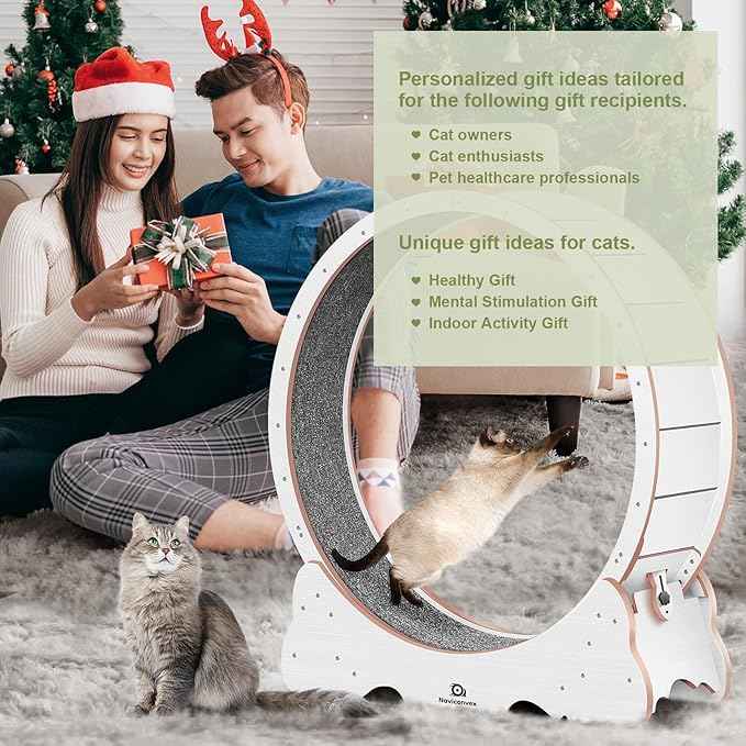 Cat Wheel, 48" XL Large Cats Exercise Running Wheel, Cat Treadmill for Indoor Cats