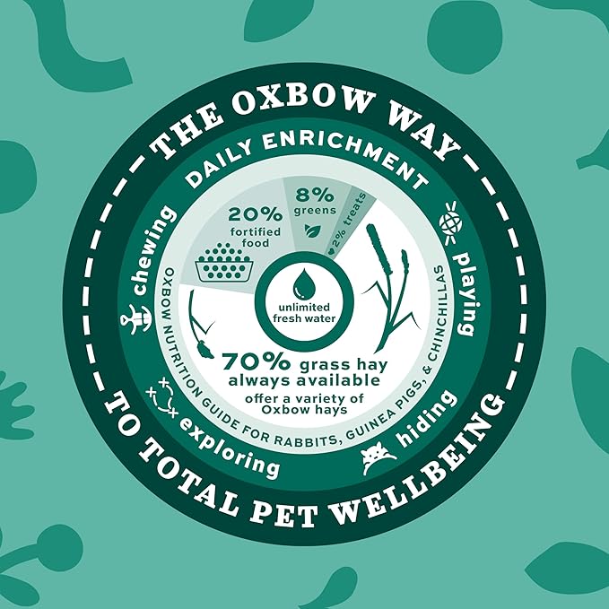 Oxbow Western Timothy Hay for Small Pets – All-Natural Grass Hay for Rabbits, Guinea Pigs, and Chinchillas – High Fiber for Digestive Health and Dental Support – 40 oz Bag