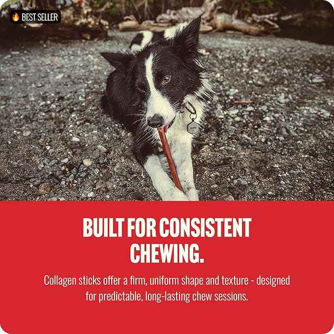 Natural Farm Bully Coated Gourmet Collagen Sticks (4 Inch, 10 Pack), Real Bully Beef Coated, 95% Natural Collagen Dog Chews, Supports Healthy Joints, Skin & Coat - Best for Small & Medium Dogs