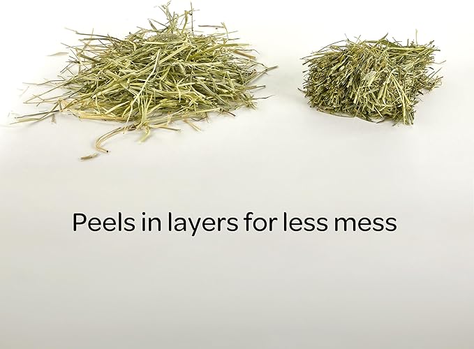 Kaytee Wafer Cut All Natural Timothy Hay for Pet Guinea Pigs, Rabbits & Other Small Animals, 60 Ounce