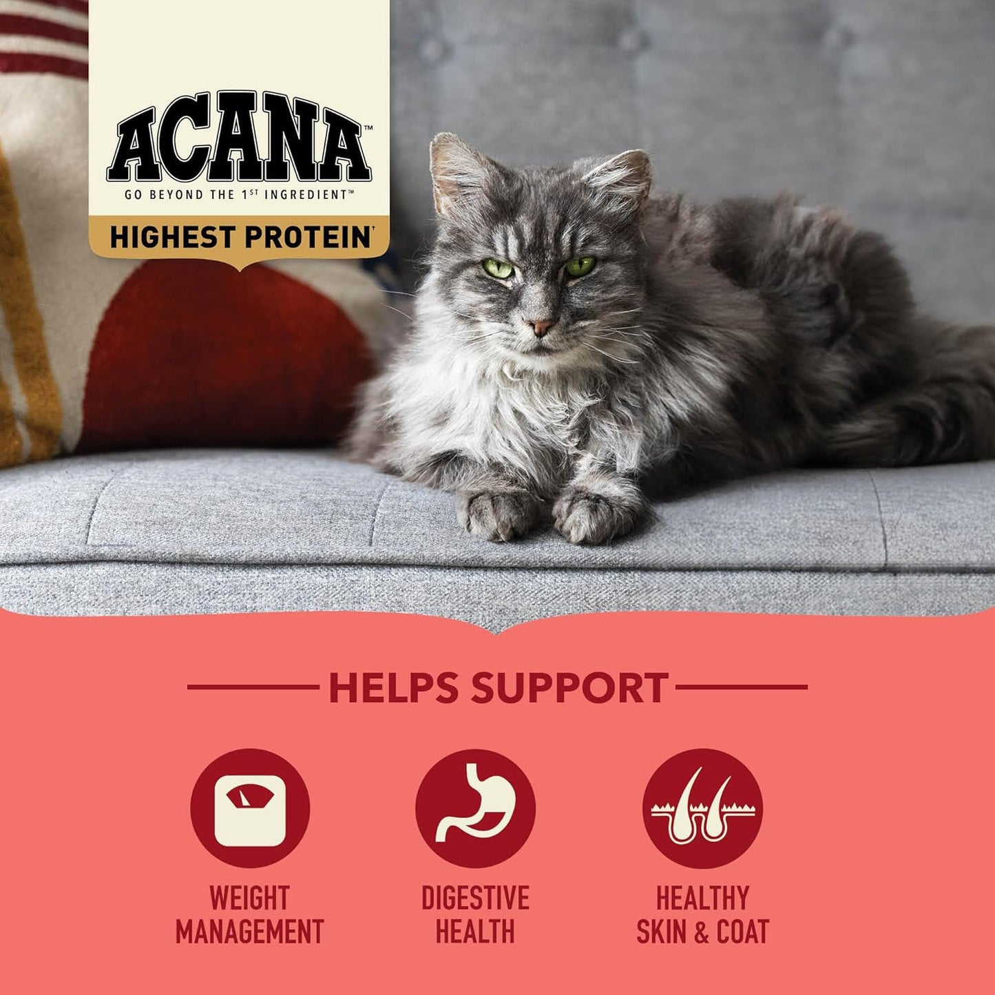 ACANA Highest Protein Dry Cat Food Indoor Cat Food Recipe 10lb Bag