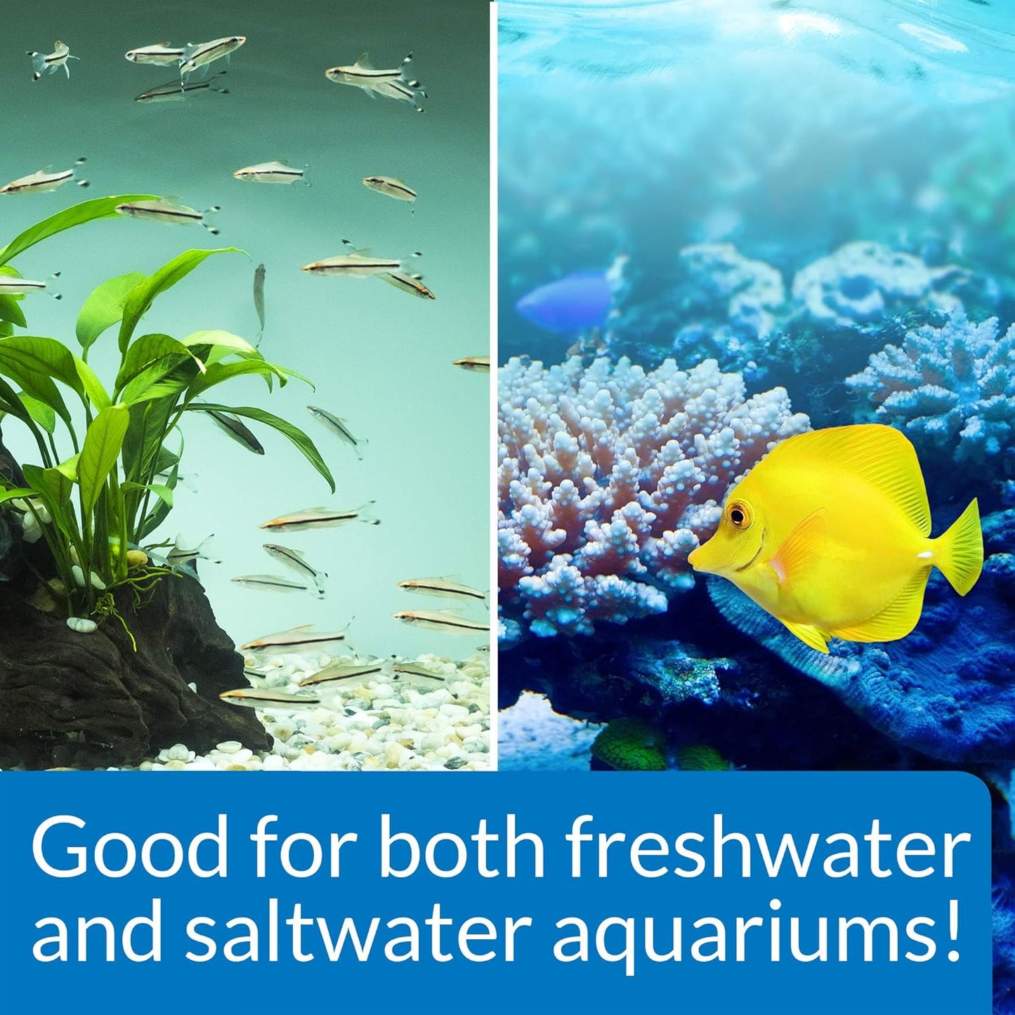API STRESS ZYME Freshwater and Saltwater Aquarium Cleaning Solution 1-Ounce Bottle