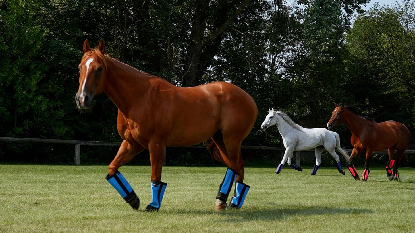 Warrior Fly Boots for Horses - Breathable Mesh Horse Boots for Fly Protection & Leg Comfort - Set of 4 (Lil Warrior, Red)