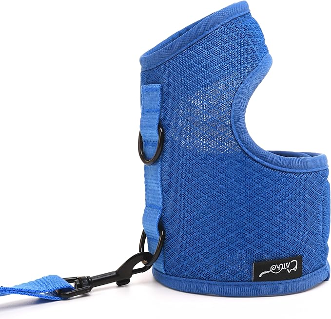 Kitty Harness and Leash for Walking Escape Proof Breathable Mesh Fabric, Solid Blue, Small, Adjustable Cat Walking Jackets, Padded Stylish Cat Vest