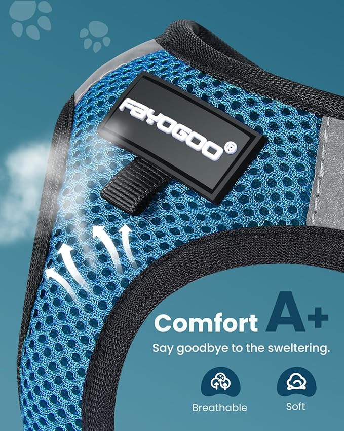 FAYOGOO Cat Harness, Cat Leash and Harness Set for Walking Escape Proof, Harness for Small Cats/Small Dogs, Large Kitten/Puppy Harness and Leash, Harness for Cats S-XXL(Tranquil Teal, XX-Large)