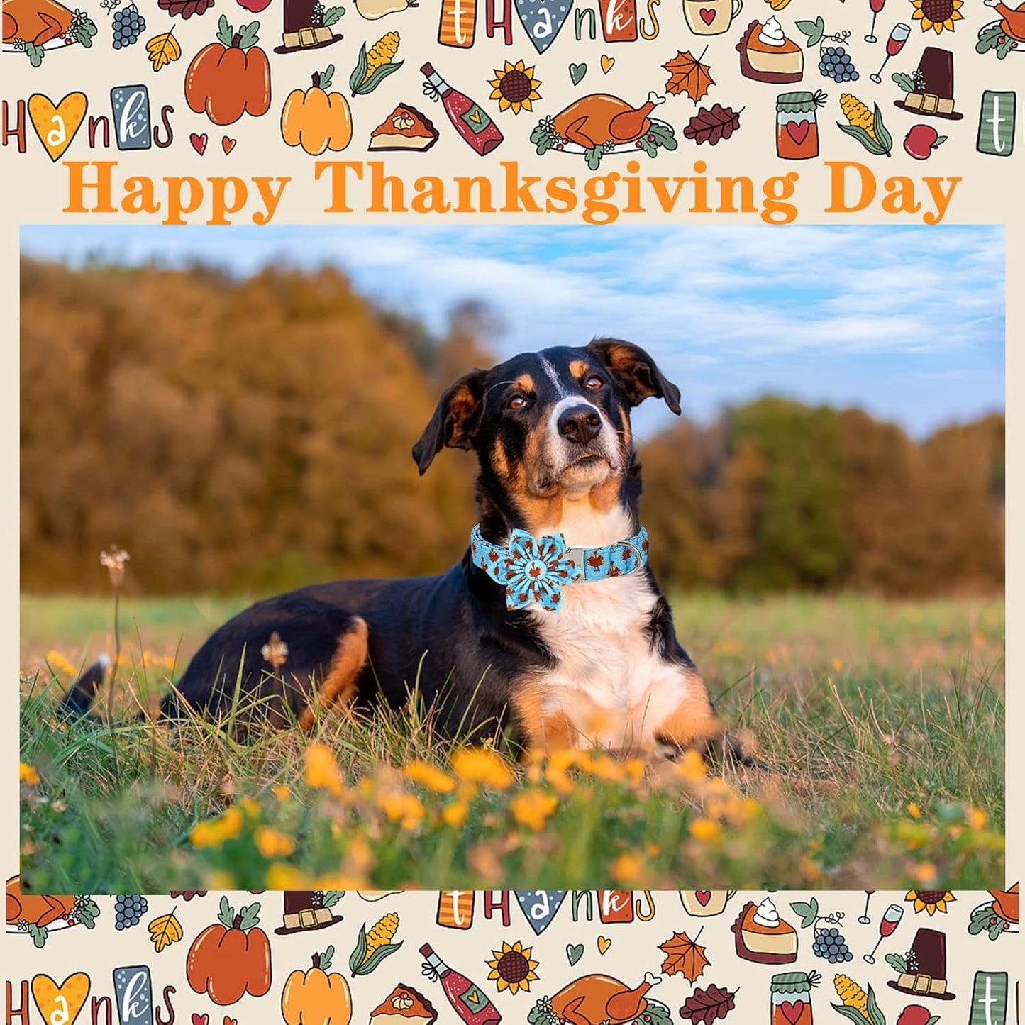 Unique style paws Thanksgiving Dog Collar with Flower Tie Autumn Turkey Theme Puppy Collar for Small Medium Large Dogs-XS