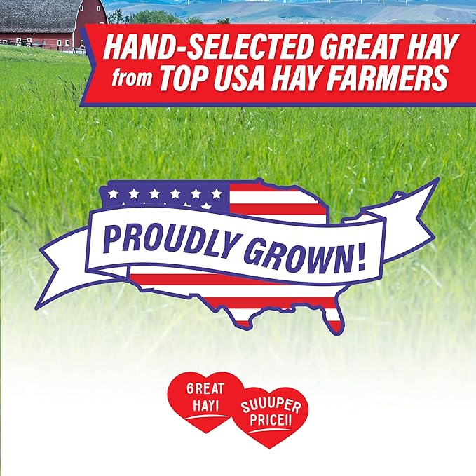 Small Pet Select Value Choice Timothy Hay for Rabbit, Guinea Pig, Bunny, Chinchilla and Other Small Animals, Premium Natural Hay Grown in The US, Pet Food, 8lb