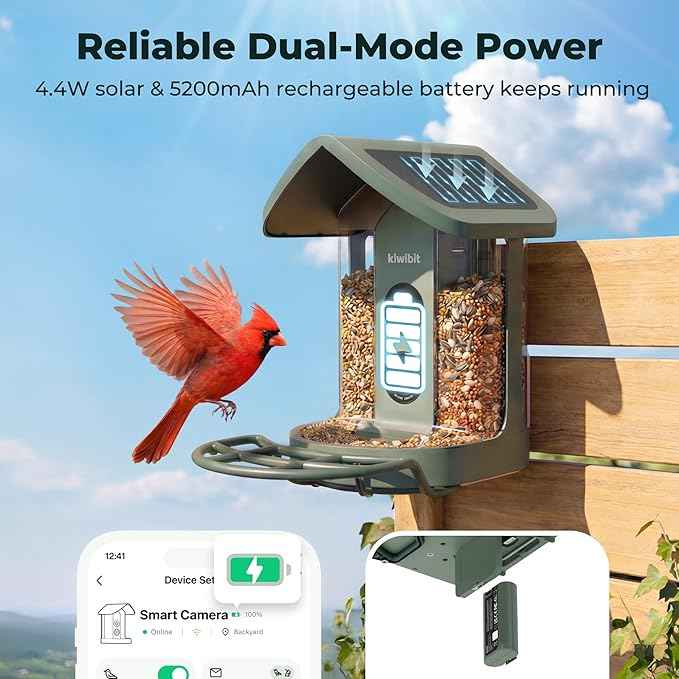 Solar Smart Bird Feeder with Camera, AI Bird Species Identification, 8MP Photos, 4K UHD Video Live Stream Wild Bird House Feeders for Outdoors, Bird Watching Gifts for Bird Lovers, Green