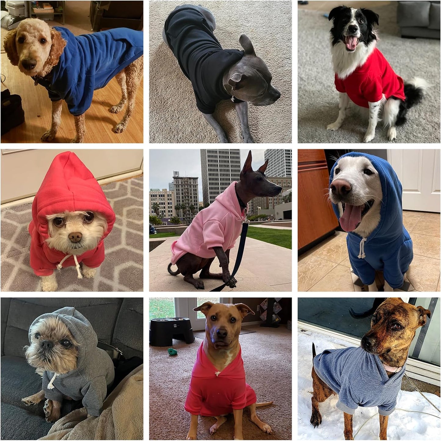 KOOLTAIL Basic Dog Hoodie - Soft and Warm Dog Hoodie Sweater with Leash Hole and Pocket, Dog Winter Coat, Cold Weather Clothes Sweatshirt for Small Medium Large Dogs Puppy Cat Boys Girls Blue M