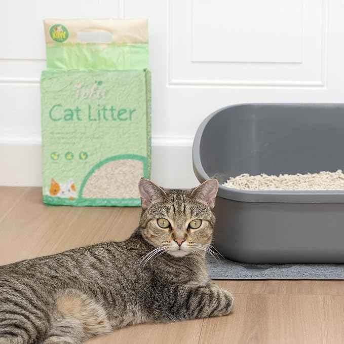 Kitty City Tofu Cat Litter, 100% Natural Plant-Based Formula, Fast Clumping, Low Dust, Flushable & Super Absorbent, Lightweight Cat Litter, 6 lb