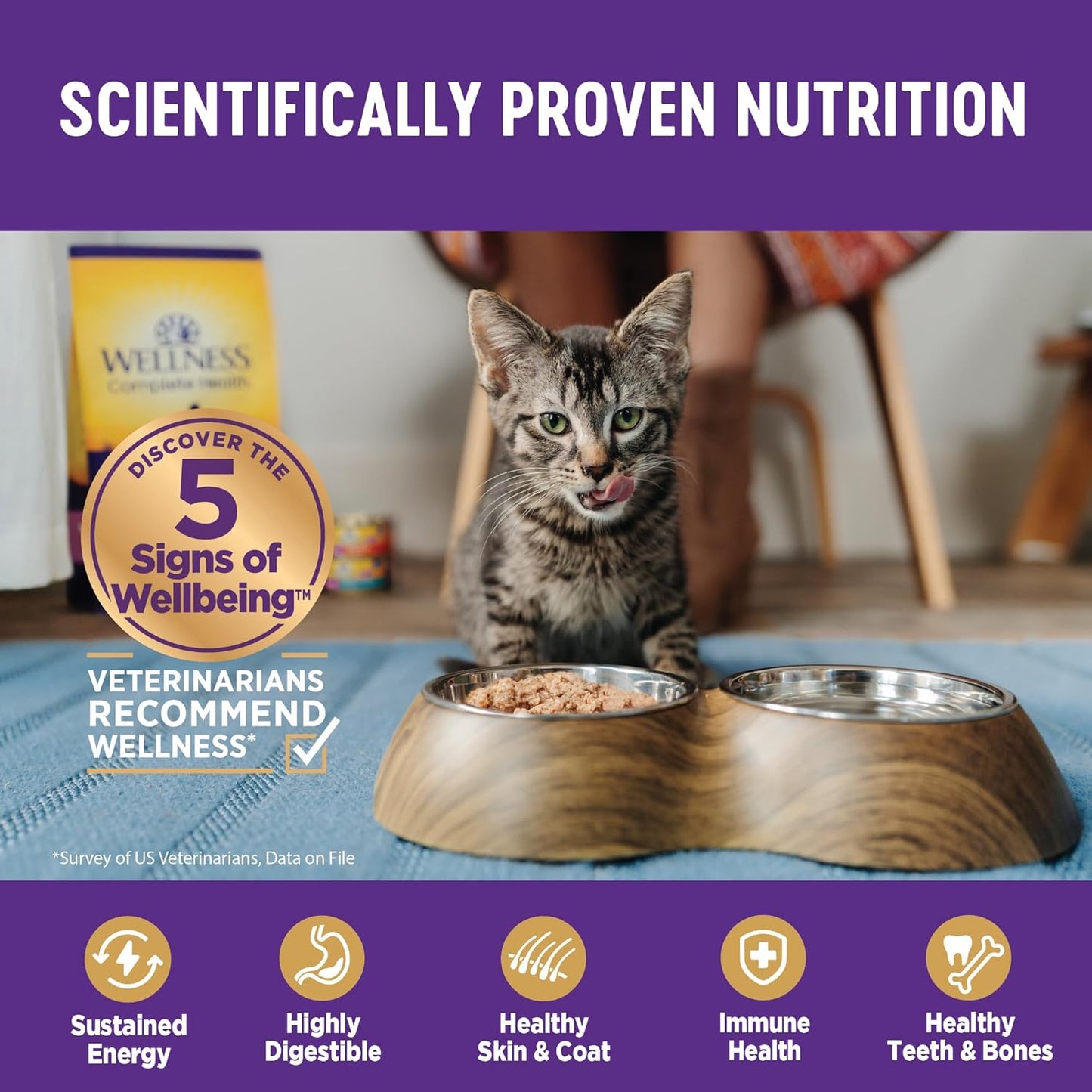 Wellness Complete Health Gravy Adult Wet Cat Food, Natural, Protein-Rich, Grain Free, 5.5 Ounce, 12 Pack, (Chicken & Tuna Dinner)