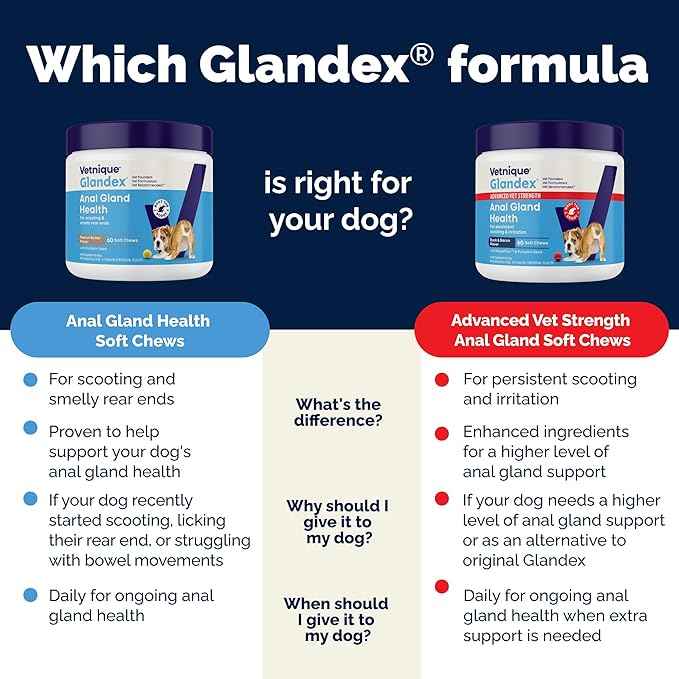 Vetnique Glandex Anal Gland Soft Chew Treats with Pumpkin for Dogs Digestive Enzymes, Probiotics Fiber Supplement for Dogs Boot The Scoot (Bacon Flavor Chews, 30 Count) (Pack of 2)