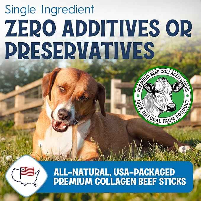 12" Collagen Sticks for Dogs – Low Odor Long-Lasting Bully Stick & Rawhide Alternative, Single Ingredient Beef Bone, High Protein Dental Treat, Vet Approved, Improves Joint Health – 5 Pack